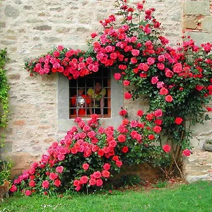 Agriturismo 
